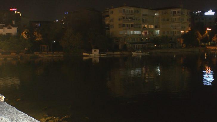 Küçükçekmece Gölü'nde su samuru görenlerin sayısı artıyor G5