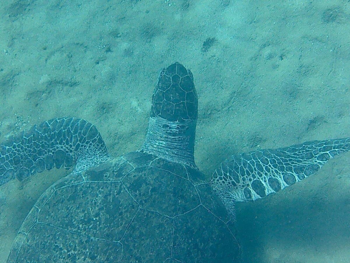Dat&ccedil;a'da muhteşem g&ouml;r&uuml;nt&uuml;ler... 'Mutluluğumu tarif edemem'