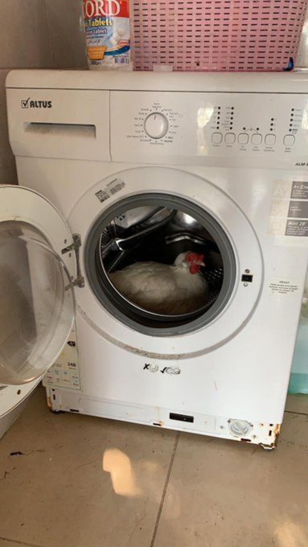 &Uuml;sk&uuml;dar Belediye Başkanı Hilmi T&uuml;rkmen'i şaşırtan olay!