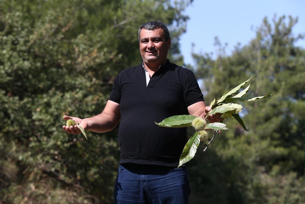 Dalında 10 lira, mangalda 70 lira