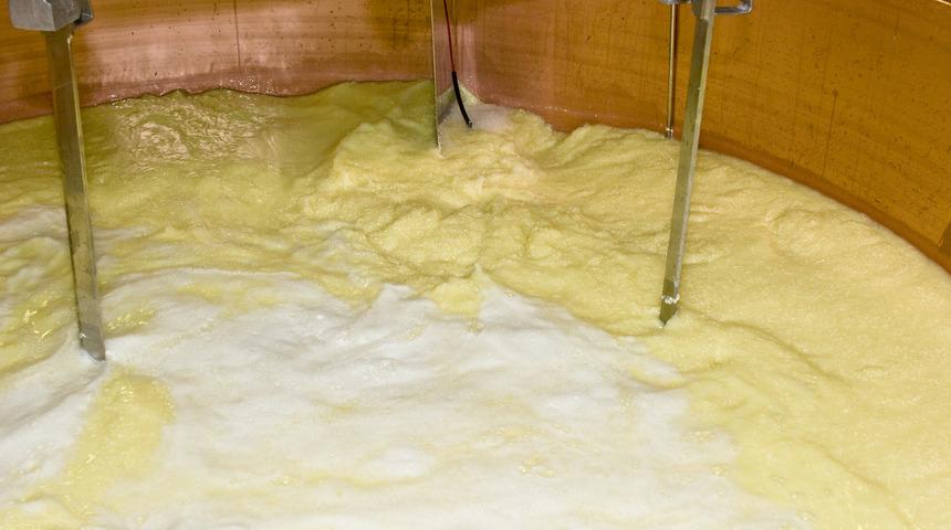 Gravyer nedir? diyenler için Kars'ın en kıymetli peynirinin üretim sürecini anlatıyoruz