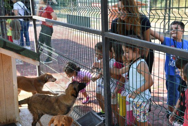 Minik öğrenciler köpeğin kalp atışını dinledi