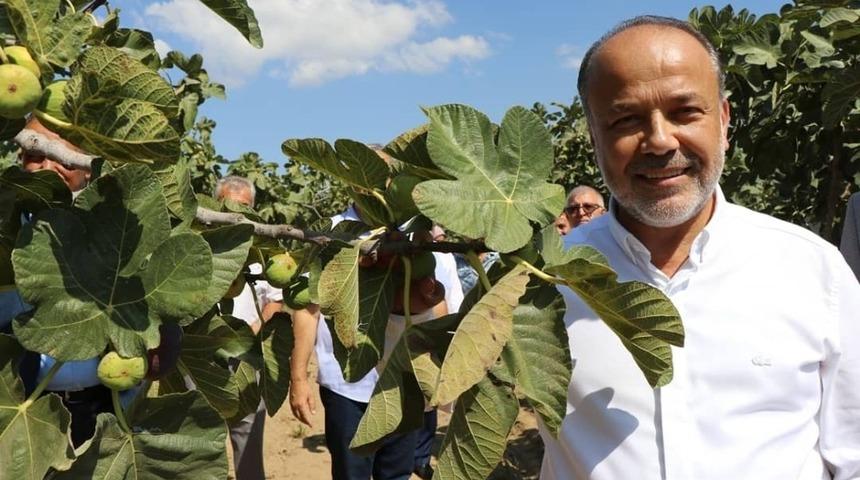 AK Parti Milletvekilleri Yavuz ve Posacı İncir fiyatlarındaki d&uuml;ş&uuml;ş i&ccedil;in girişimde bulundu