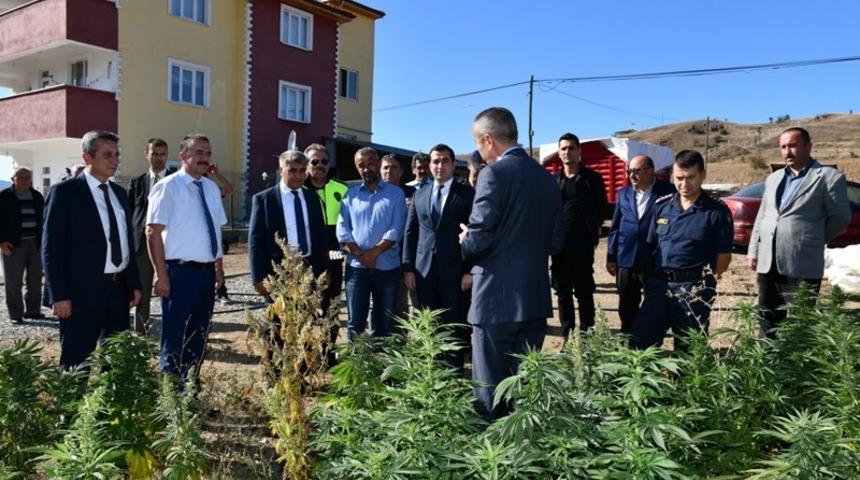 Vali G&uuml;rel,Kenevir tarlasında incelemede bulundu