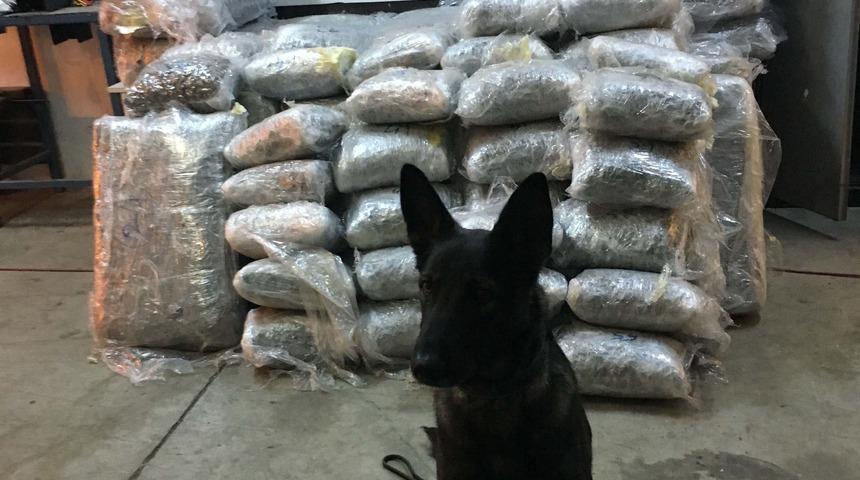 İpsala'da TIR'da 335 kilo esrar ele ge&ccedil;irildi