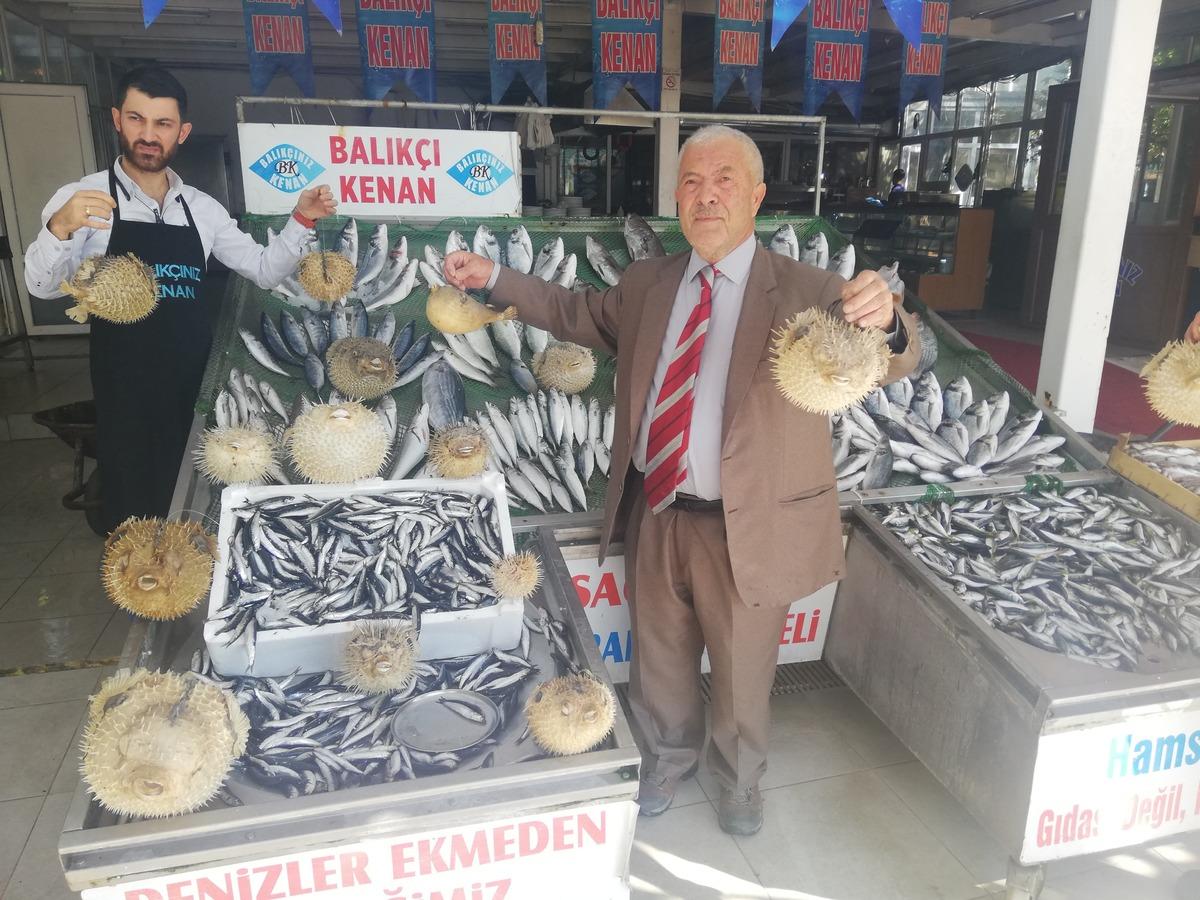 Bir kızın parmağını koparmıştı! Vatandaşlara kritik uyarı