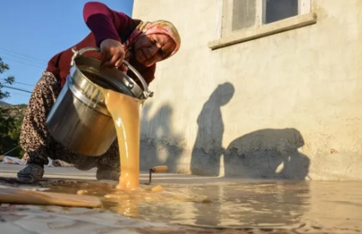 Hekimhan'ın asırlık lezzeti dut pestili yapımı! 