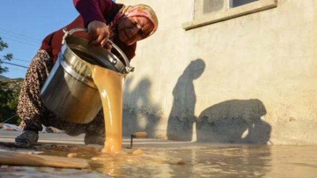 Hekimhan'ın asırlık lezzeti dut pestili yapımı! 