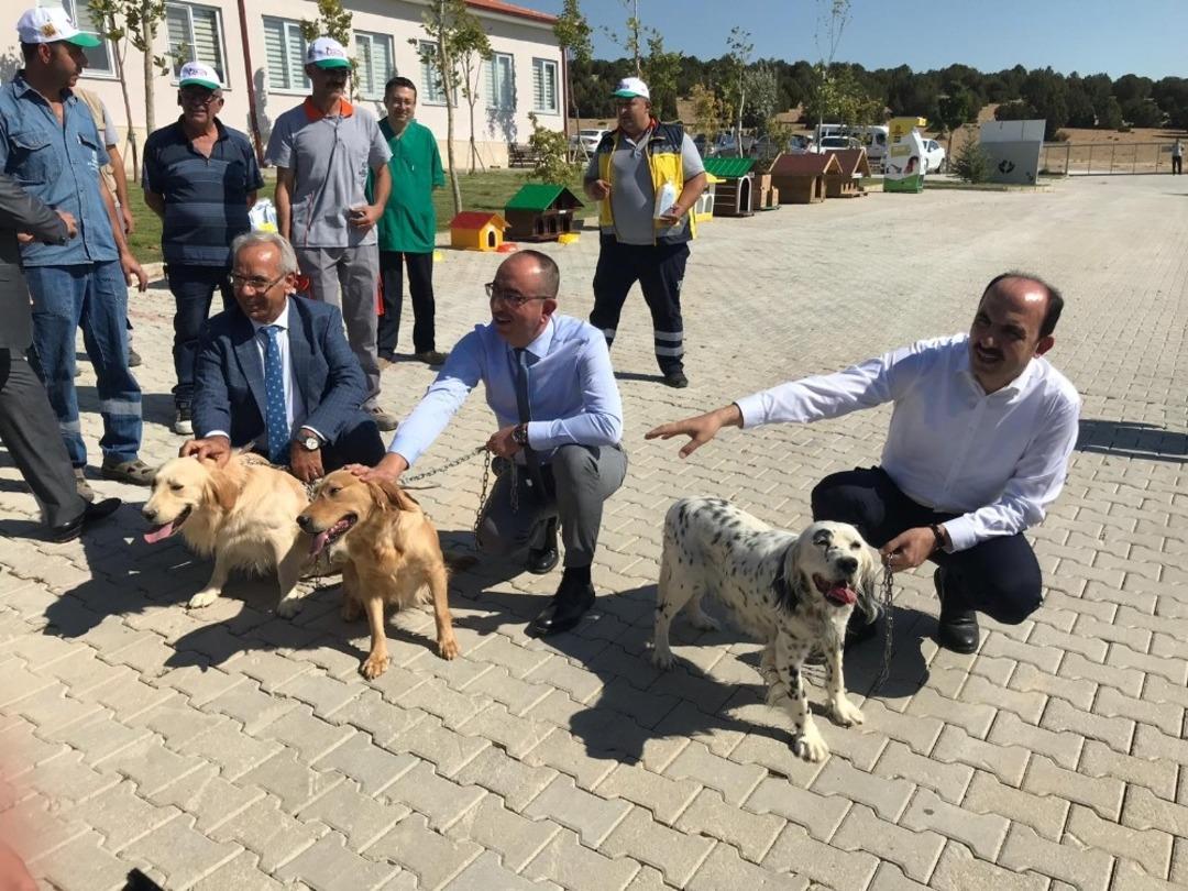 T&uuml;rkiye&rsquo;nin en b&uuml;y&uuml;k ve en modern hayvan barınağı Konya&rsquo;da
