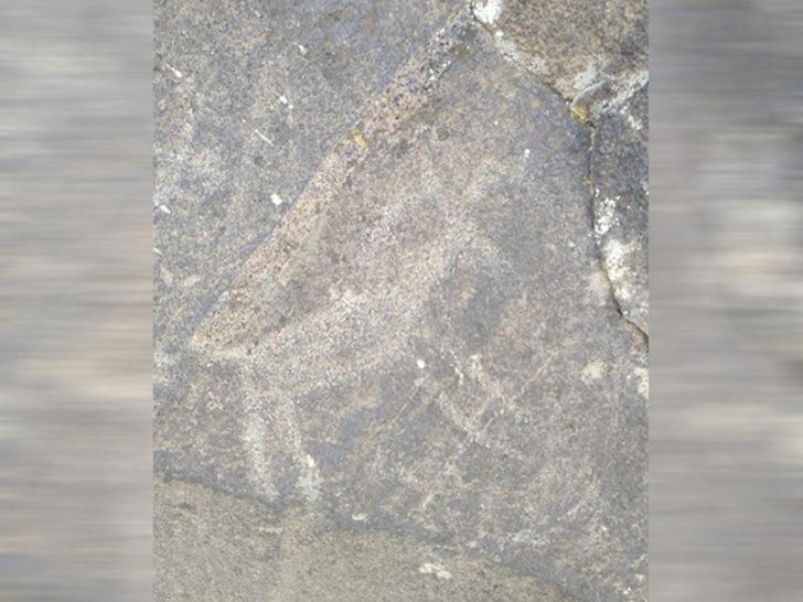 Bingöl'de Taş Devri'ne ait en az 12 bin yıllık kaya resimleri bulundu G2