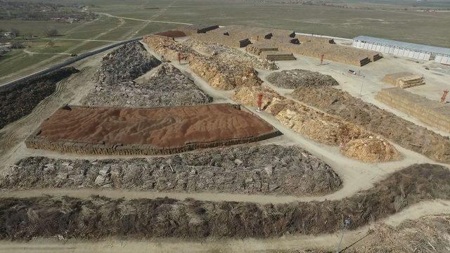 Çarşamba Biyokütle Enerji Santrali’ni kuracak şirketten davet 1