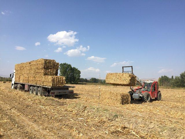 Çarşamba Biyokütle Enerji Santrali’ni kuracak şirketten davet 2