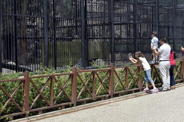 Hayvanları Koruma Günü’nde, Tarsus Hayvan Parkı’na girişler ücretsiz