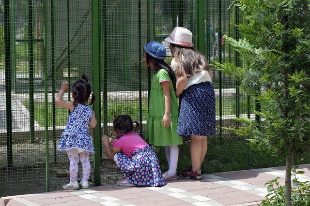 Hayvanları Koruma Günü’nde, Tarsus Hayvan Parkı’na girişler ücretsiz