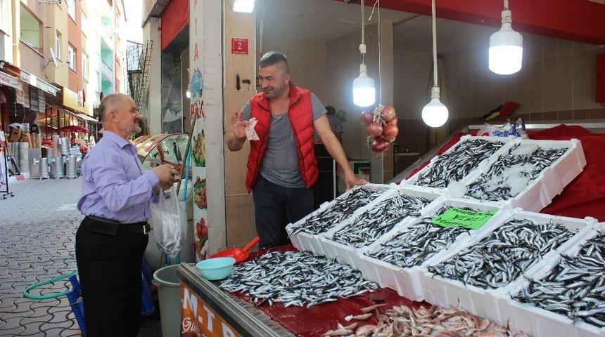 T&uuml;rkeli&rsquo;de hamsi bereketi