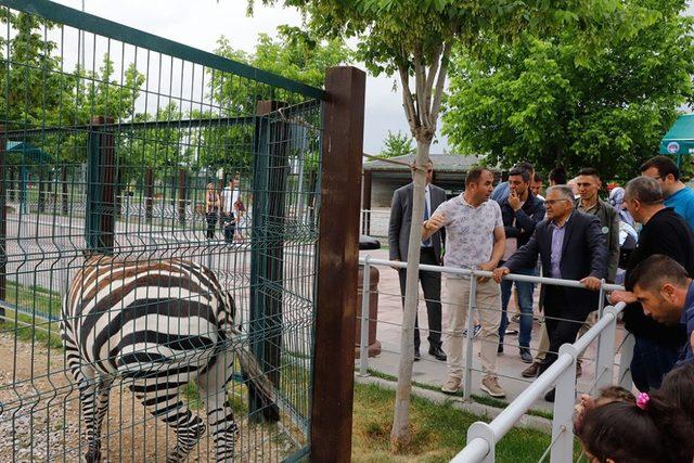 Hayvanları Koruma Günü’nde hayvanat bahçesi ücretsiz