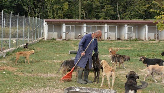 Başkan Babaoğlu, hayvan barınağında incelemelerde bulundu