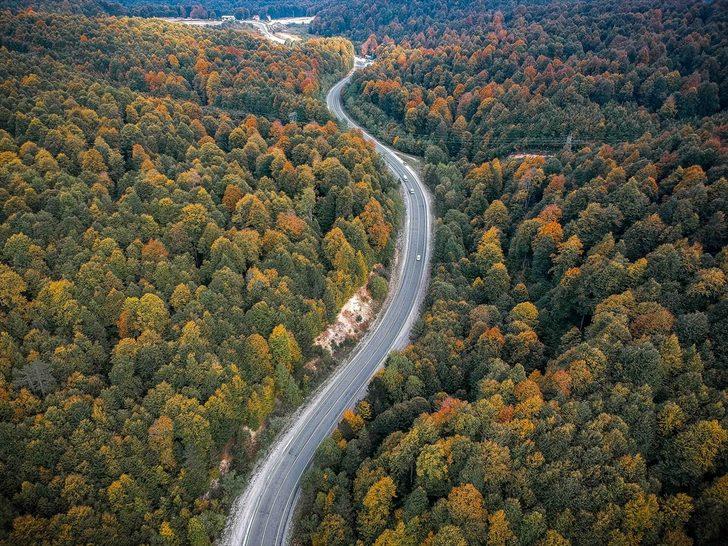 Domaniç Dağları'nda sonbaharın ilk renkleri G1