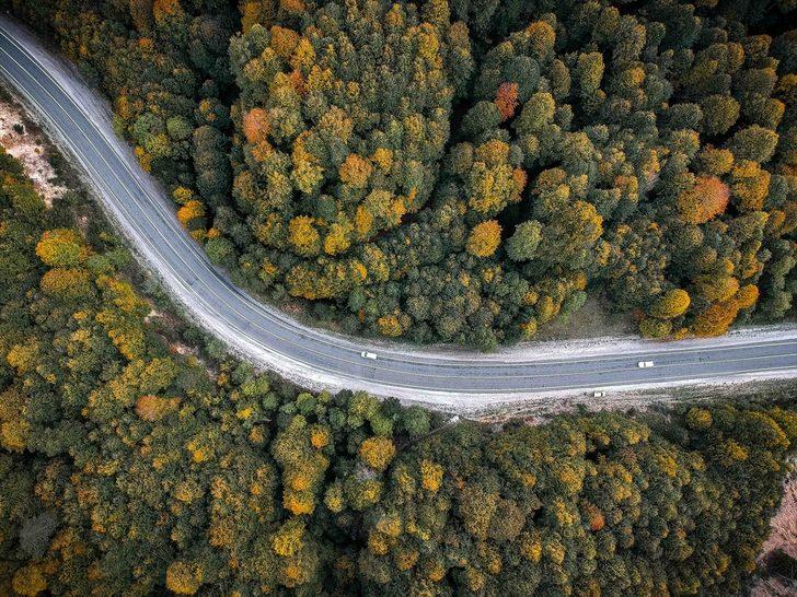 Domaniç Dağları'nda sonbaharın ilk renkleri G2