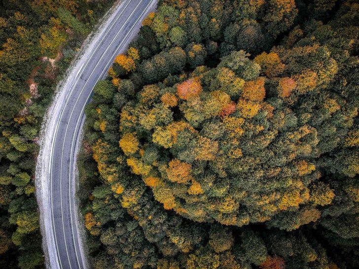 Domaniç Dağları'nda sonbaharın ilk renkleri G3