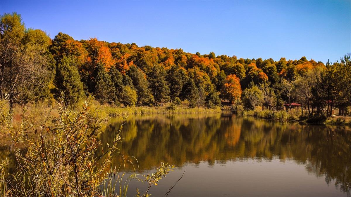 Domani&ccedil; Dağları'nda sonbaharın ilk renkleri