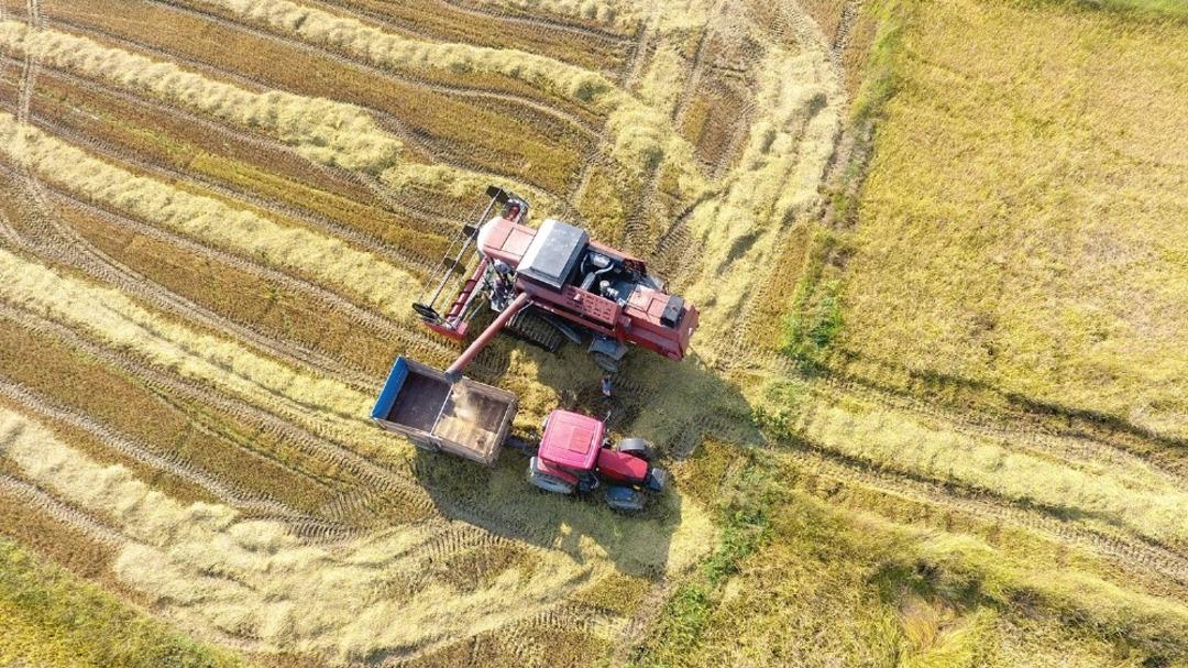 Sinop&rsquo;ta &ccedil;eltik hasadı başladı
