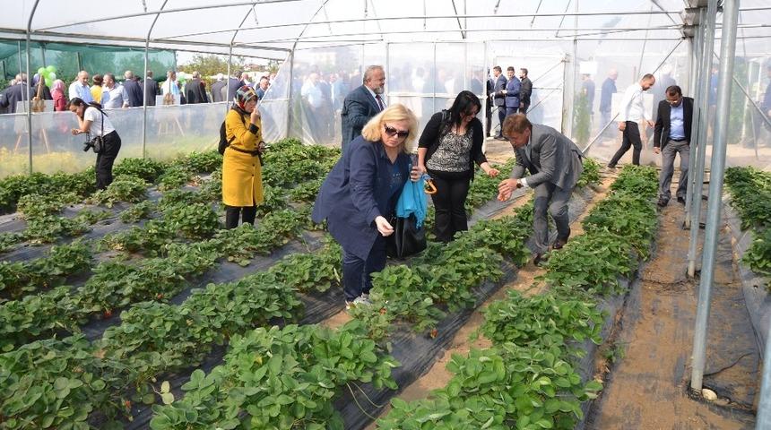 G&uuml;ler: &ldquo;Ordu&rsquo;da g&uuml;zel şeyler oluyor"