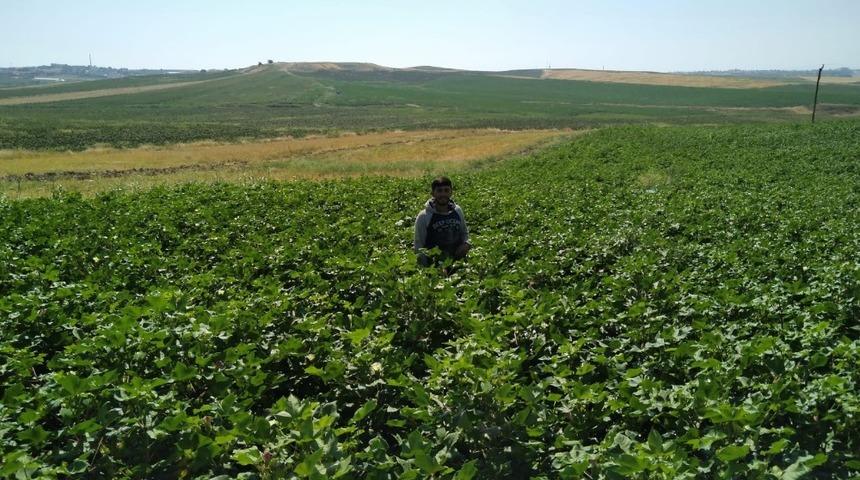 Samsat&rsquo;ta vatandaşlar sulu tarıma y&ouml;neldi