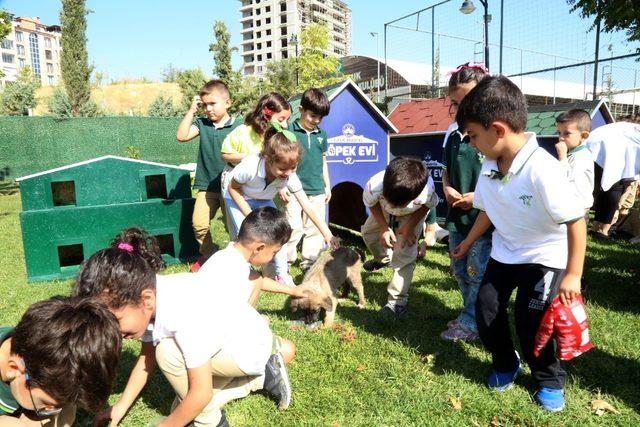 Hayvan sevgisini aşılayan örnek proje