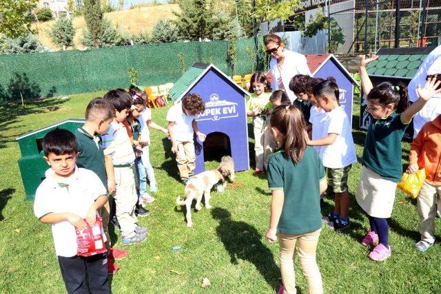 Hayvan sevgisini aşılayan örnek proje