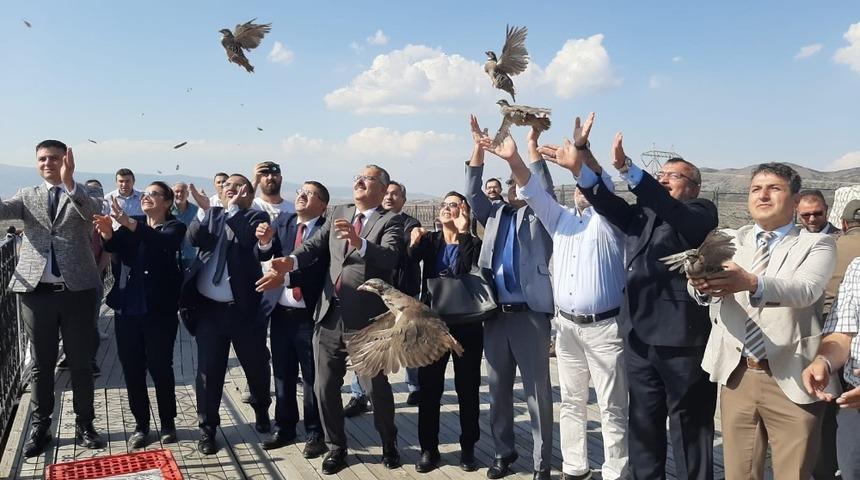 Tabiat parkına 200 keklik salındı