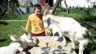 Down sendromlu Yasin Soyalp'e keçili terapi!