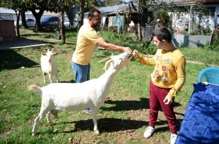 Down sendromlu Yasin Soyalp'e keçili terapi! G3