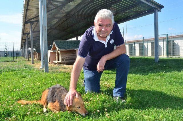 (Özel) Dostluğun böylesi görülmedi