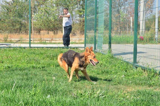 (Özel) Dostluğun böylesi görülmedi