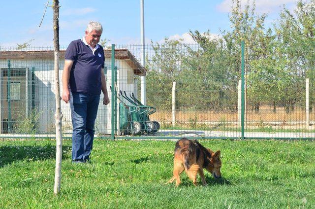 (Özel) Dostluğun böylesi görülmedi