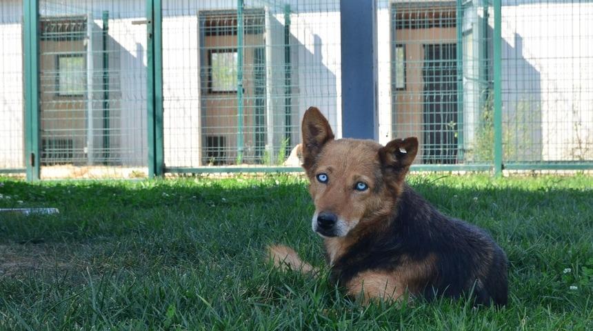(&Ouml;zel) Dostluğun b&ouml;ylesi g&ouml;r&uuml;lmedi