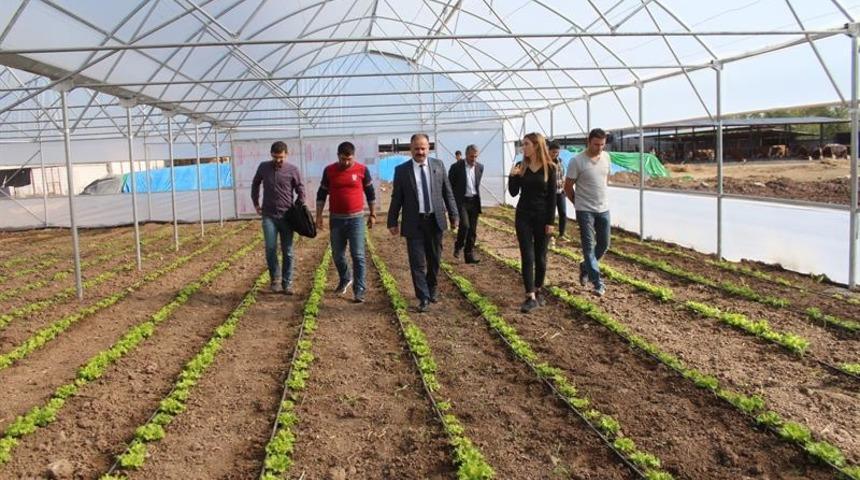 Iğdır&rsquo;da yeni kurulan seralar ziyaret edildi