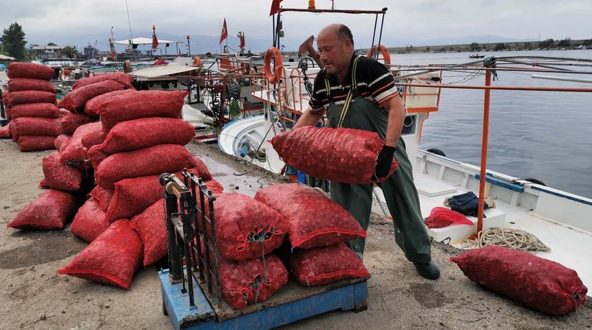Karadenizli balıkçılar deniz salyangozuna yöneldi