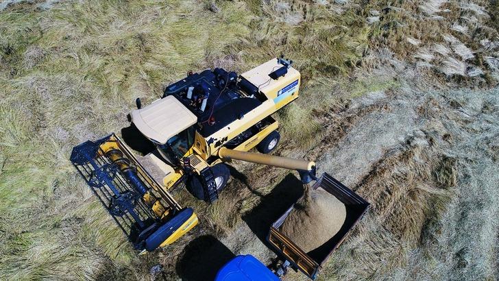 Karacadağ pirincinin tarladan sofraya yolculuğu G2