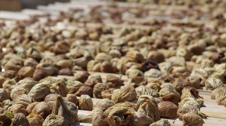  Kuru incirde 3 günde 22 milyon dolarlık ihracat