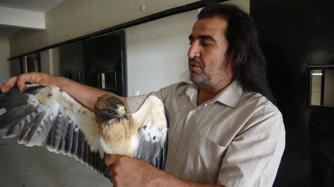 4 Ekim d&uuml;nya hayvanları koruma g&uuml;n&uuml;