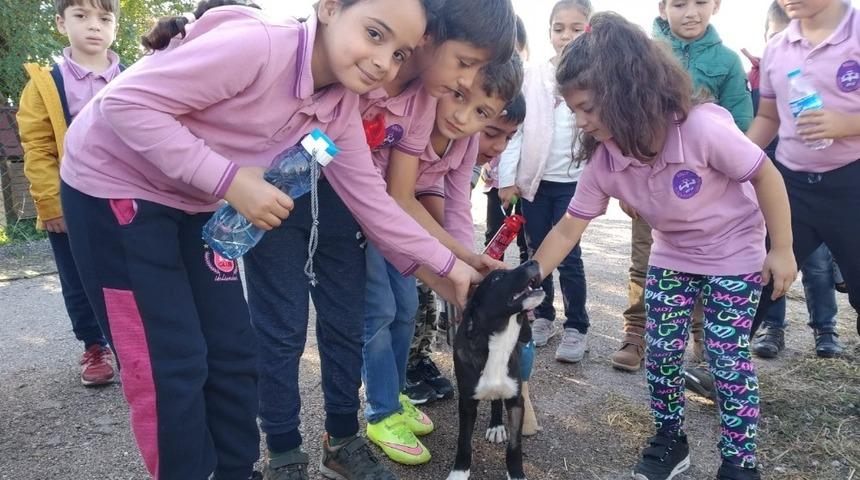 4 Ekim Hayvan Hakları Koruma G&uuml;n&uuml; etkinliği