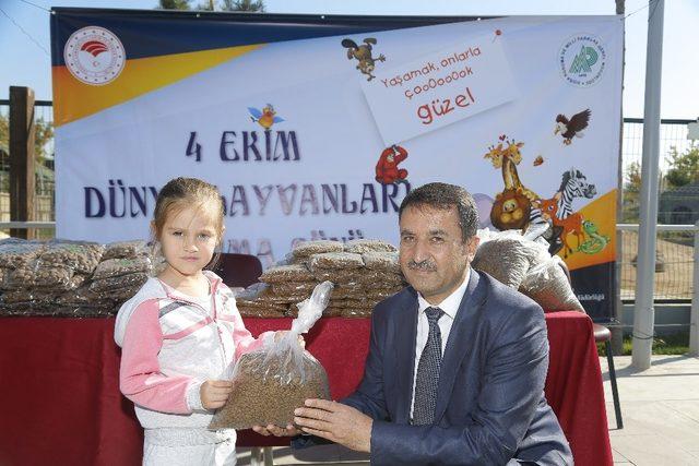 Büyükşehir çocukların hayvan sevgisini pekiştiriyor 2