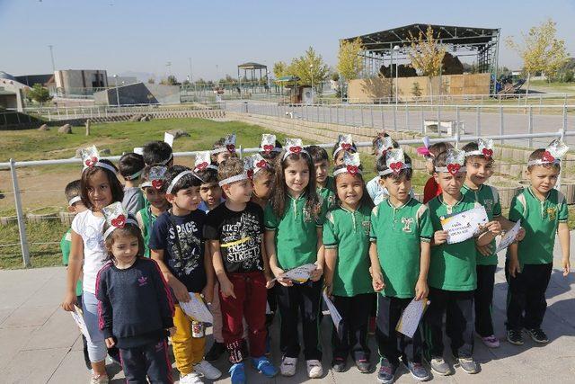 Büyükşehir çocukların hayvan sevgisini pekiştiriyor 4