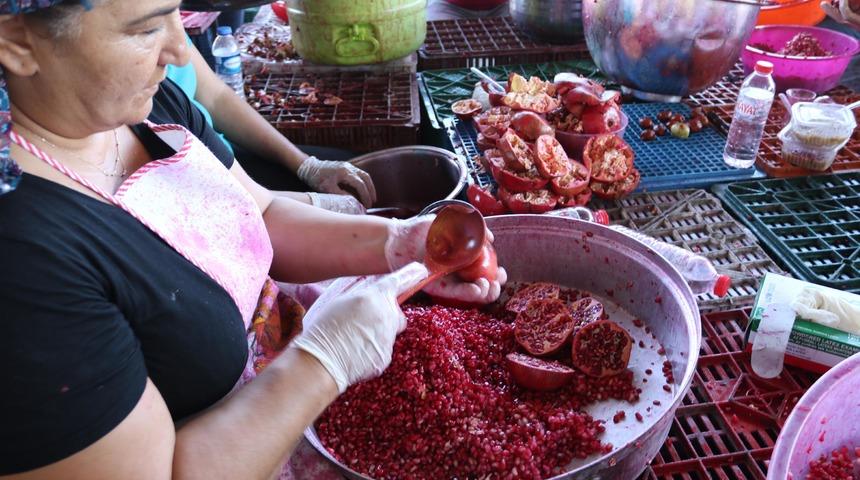 Foçalı kadınlardan nar ekşisi tarifi! Nar ekşisi nasıl saklanır?