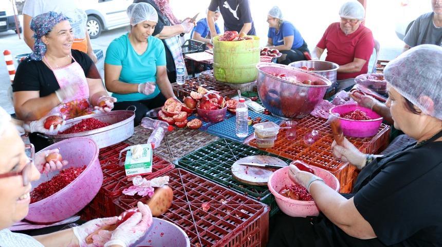Fo&ccedil;alı kadınlar narlı t&uuml;rk&uuml;ler eşliğinde nar ekşisi &uuml;retiyor