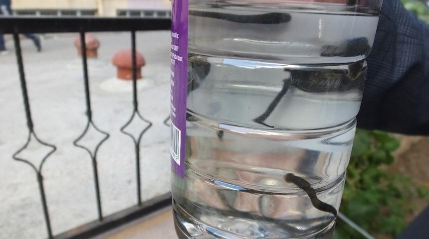 Burhaniye&rsquo;de m&uuml;d&uuml;r s&uuml;l&uuml;kle şifa buluyor