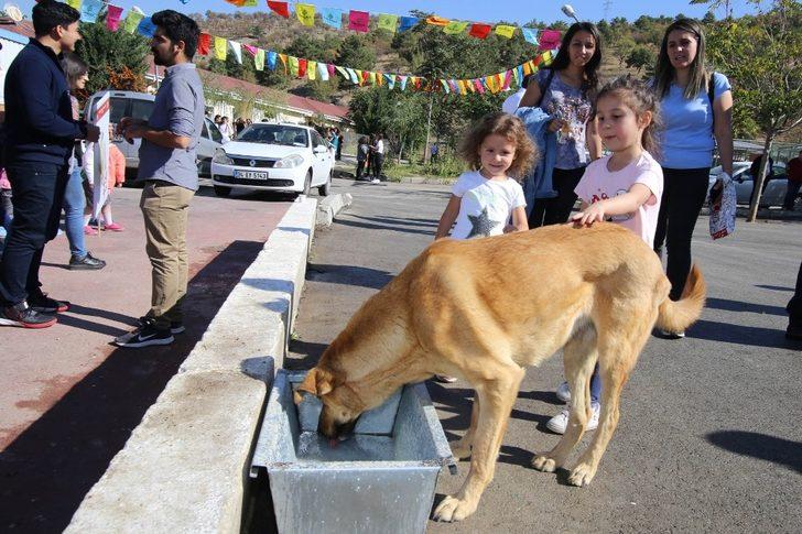 Çocuklar sokak hayvanları için çaldı G2