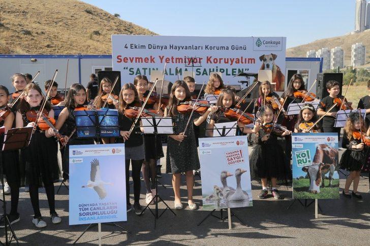 Çocuklar sokak hayvanları için çaldı G5